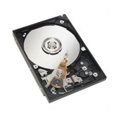 00D5304 IBM 300GB 10000RPM SAS 6.0 Gb/s 2.5-inch 64MB Cache Hard Drive