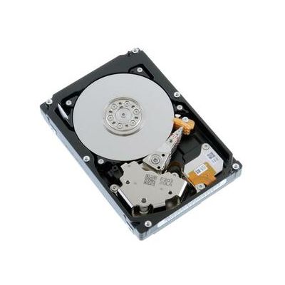 00E6172 IBM 300GB 10000RPM SAS 6Gb/s 2.5-Inch Hard Drive