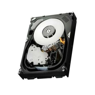 0B22203 Hitachi 300GB 15000RPM SAS 3Gb/s 3.5-inch 16MB Cache Hard Drive