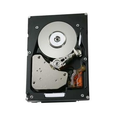 0B23316 Hitachi 300GB 15000RPM Fibre Channel 4 Gb/s 3.5-inch 16MB Cache Ultrastar Hard Drive