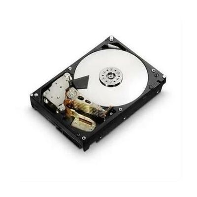 0B23493 Hitachi 300GB 15000RPM Fibre Channel 4 Gb/s 3.5-inch 16MB Cache Hard Drive