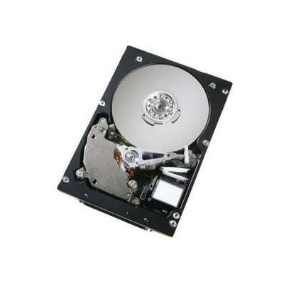 0B24530 Hitachi 300GB 15000RPM SAS 6Gb/s 3.5-inch 64MB Cache Ultrastar Hard Drive