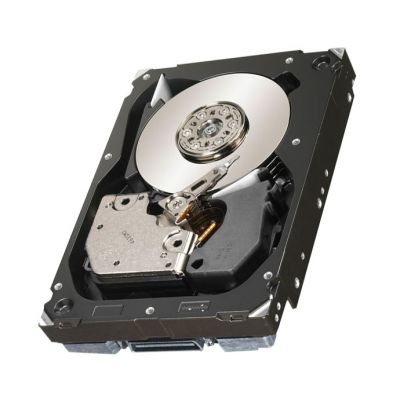 42D0417 IBM 300GB 1500RPM Fibre Channel 4Gb/s 16MB Cache 3.5-inch Hard Drive