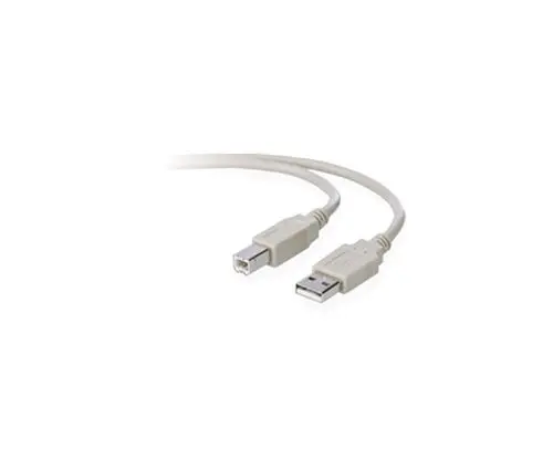 F3U133B10 Belkin USB Cable Type A Male USB Type B Male USB 10ft